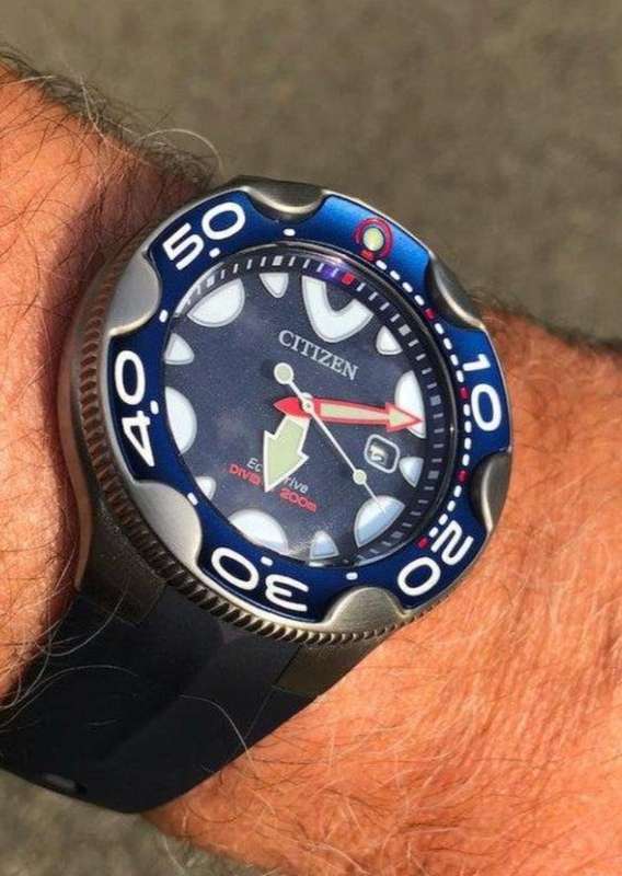 Citizen Promaster Orca Eco-Drive Watch