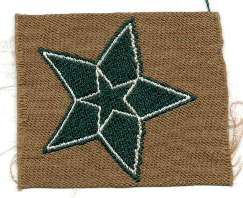 1970s1980s South Africa Boy Scouts Proficiency Star Cloth Badge 42 × 50mm