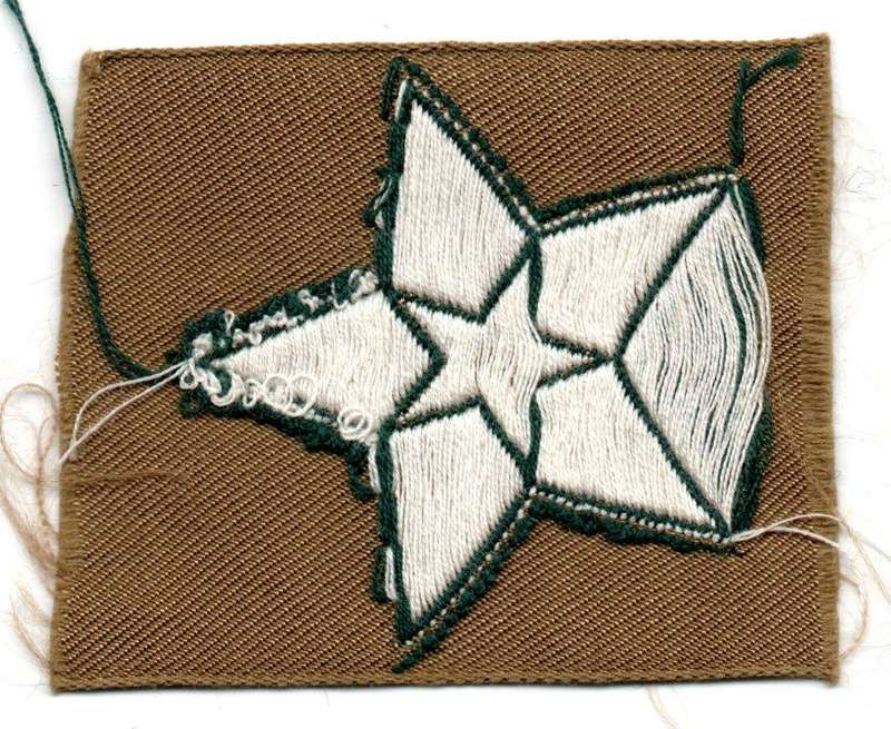 1970s1980s South Africa Boy Scouts Proficiency Star Cloth Badge 42 × 50mm