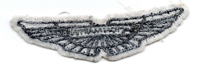 Aston Martin Material Patch 23mm x 83mm
