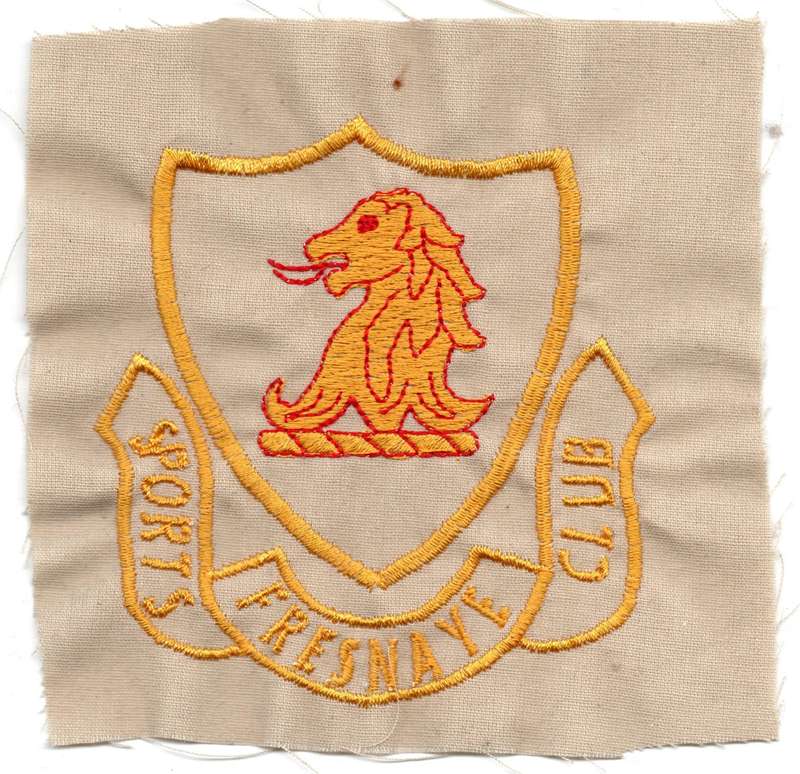 Vintage South Africa Cape Town Fresnaye Sports Club Material Patch 118mm x 115mm
