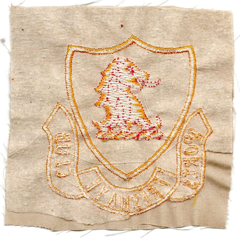 Vintage South Africa Cape Town Fresnaye Sports Club Material Patch 118mm x 115mm