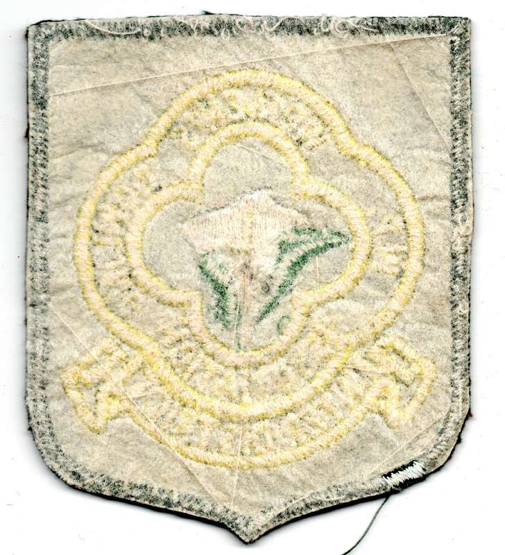 Vintage Western Province Women's Bowling Association Inter District Material Patch 82mm x 96mm