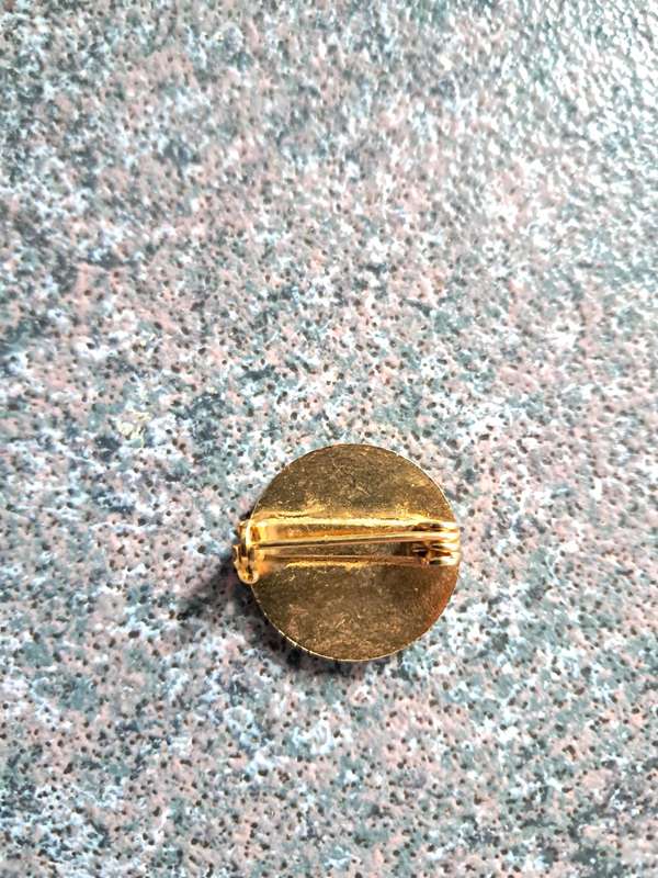 R.S.A lapel pin Match box colectors
