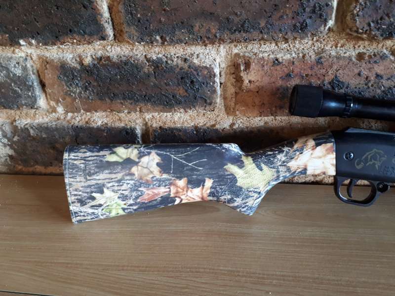 Air rifle Daisy Grizley bb and pellet multi pump