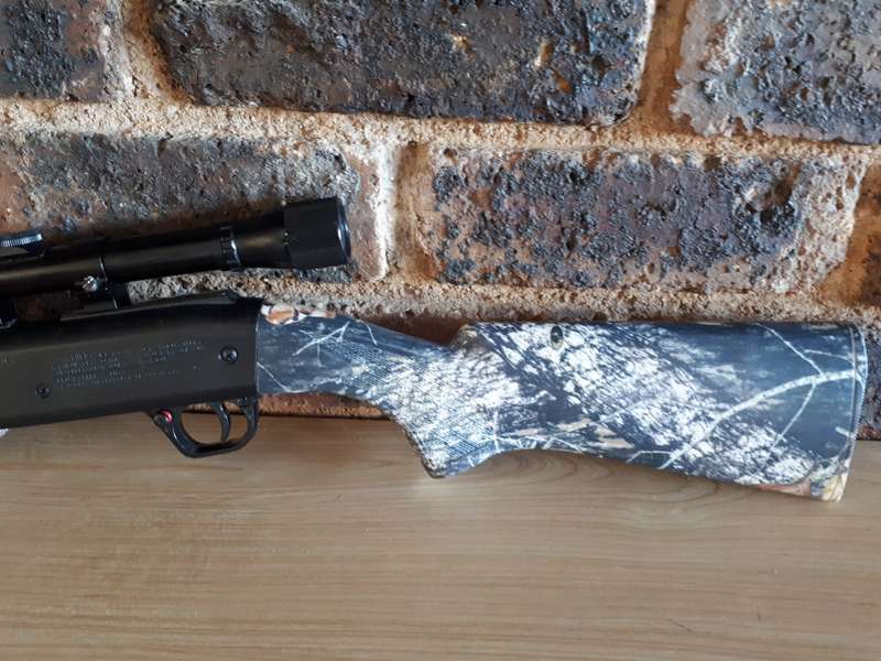 Air rifle Daisy Grizley bb and pellet multi pump