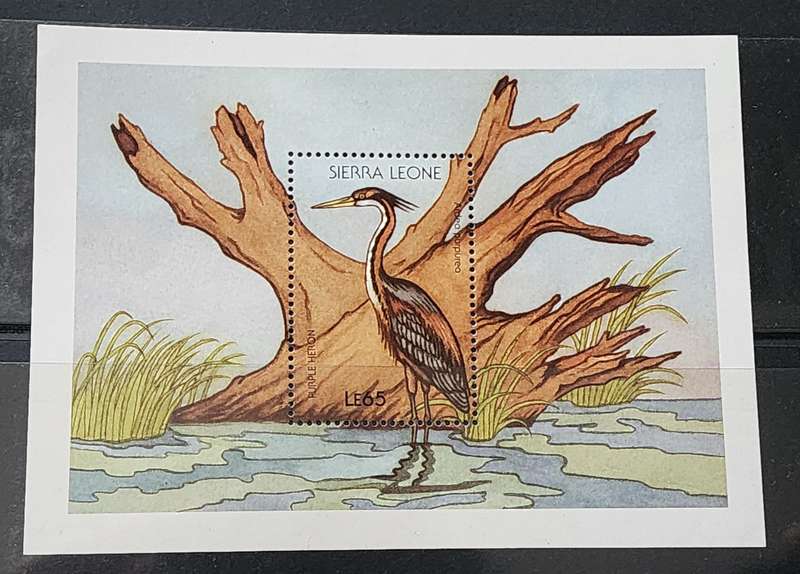 BIRD STAMPS -SIERRA LEONE M/Sheet Le65 value featuring "PURPLE HERON" -Superb MNH
