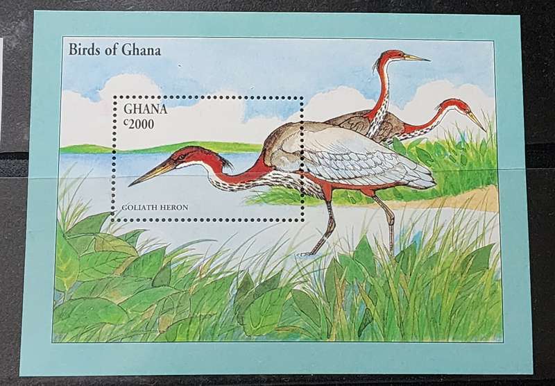 BIRD STAMP -GHANA M/Sheet c2000 high value featuring "GOLIATH HERONs" -Superb MNH