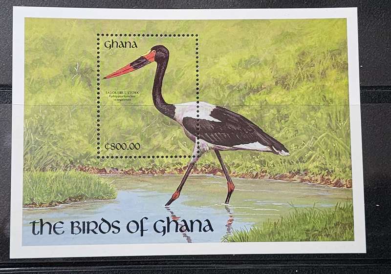 BIRD STAMPS GHANA MNH - BIRD thematic C800 M/Sheet "Saddle Bill STORK" from Birds of Ghana