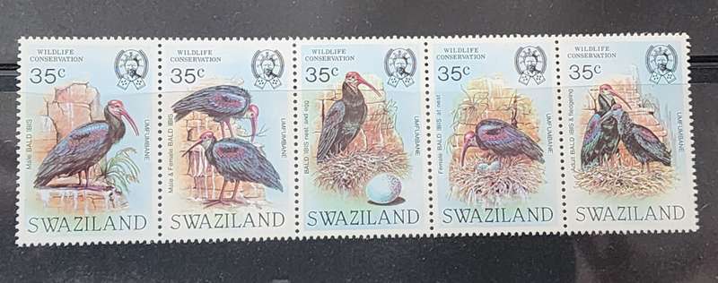 BIRDS WWF  SWAZILAND MNH -BIRD thematic "BALD IBIS" Strip of 5- Scarce and AMAZING issue, great cat