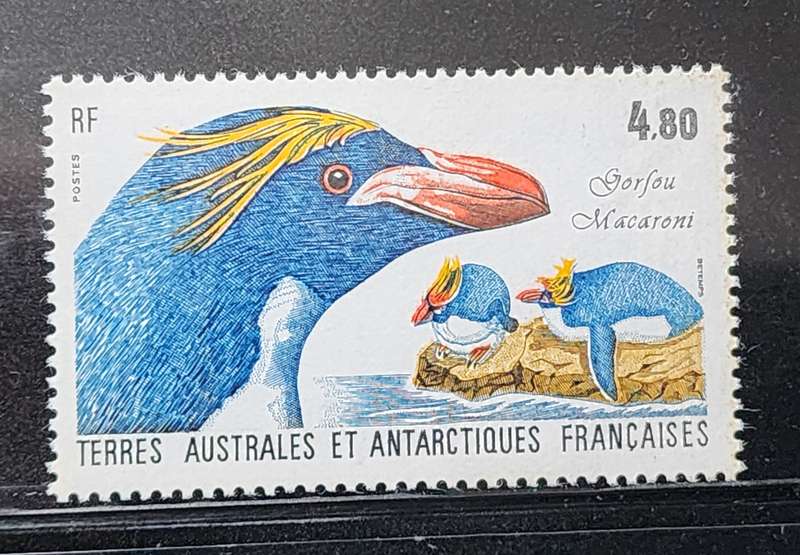 BIRDS French Antarctic Territory 4F80 MACORONI PENGUIN superb STAMPS MNH BIRD THEMATIC
