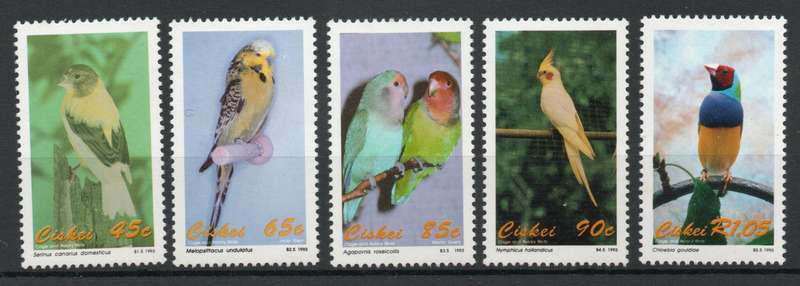 Ciskei 1991 Cage & Aviary Birds set of 5 unmounted mint. SACC 233-237. Cat R100 (2025)