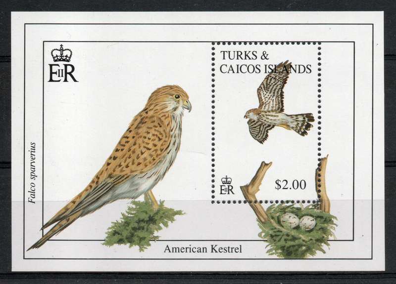 Turks and Caicos Islands 1993 Birds American Kestrel mini sheet umm. SG MS 1236. Cat £5,50 (2013)