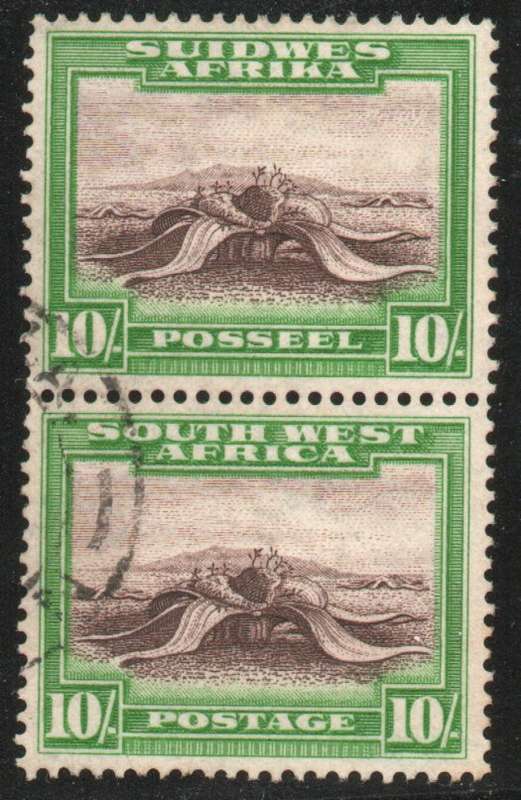 South West Africa 1931 Defin 10/- vertical pair very fine used. SACC 113. Cat R800 horizontal (2025)