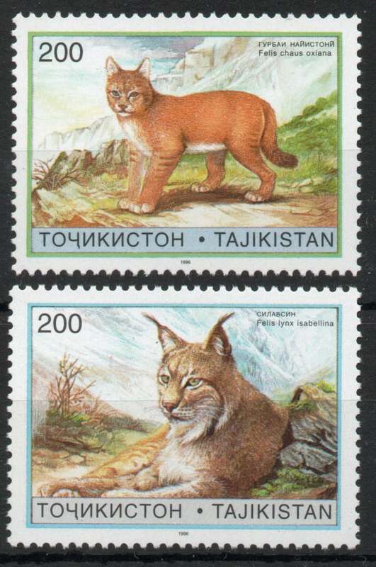 Tajikistan 1996 Animals Wild Cats set of 2 unmounted mint. SG 94-95. Cat £6,50 (2013)
