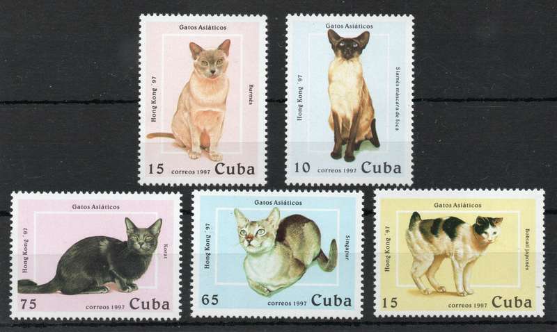 Cuba 1997 Cats set of 5 unmounted mint. SG 4138-4142. Cat £6,30. (2013)