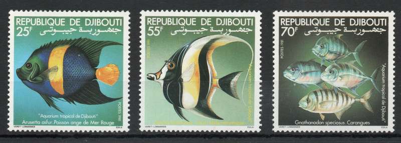 Djibouti 1981 Aquarium Fish set of 3 unmounted mint. SG 808-810. Cat £8,60 (2013)