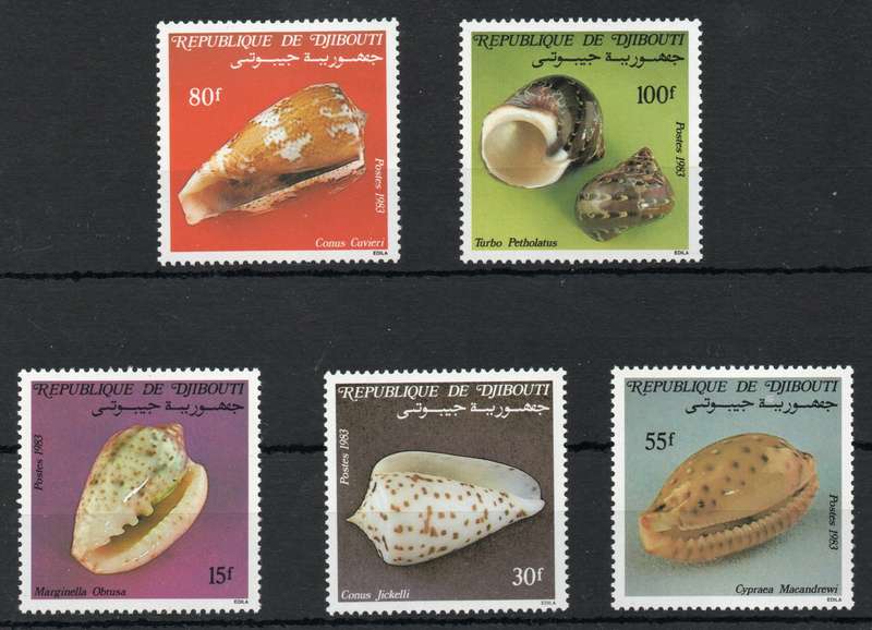 Djibouti 1983 Shells set of 5 unmounted mint. SG 893-897. Cat £7,50 (2013)