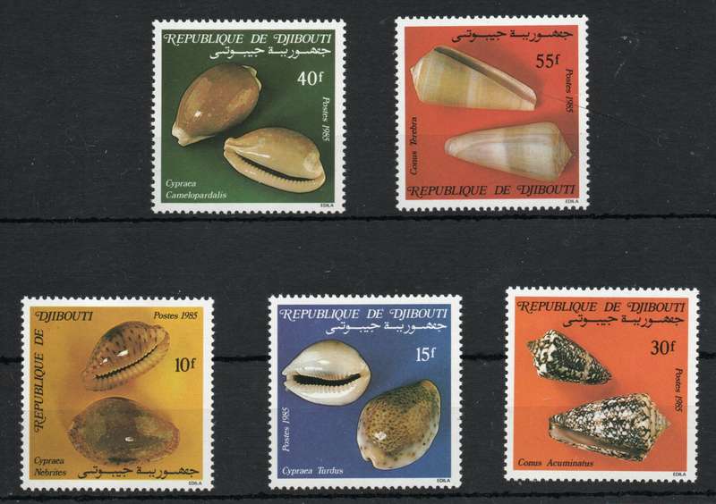 Djibouti 1985 Shells set of 5 unmounted mint. SG 959-963. Cat £5,45 (2013)