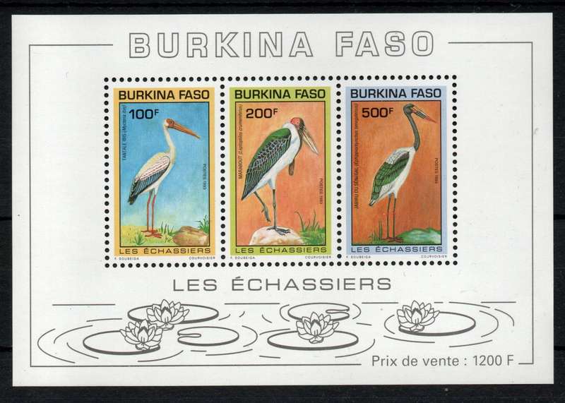 Burkina Faso 1993 Birds mini sheet unmounted mint. SG MS 1058. Cat £14,50 (2013)
