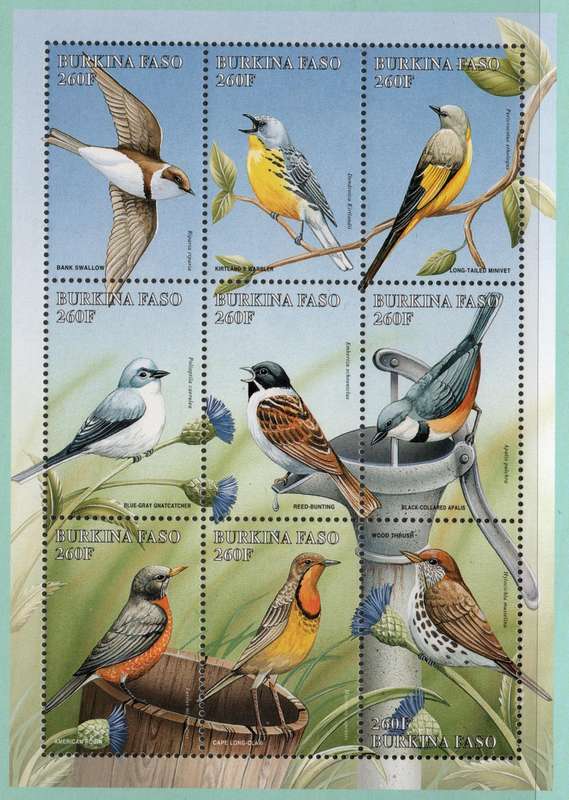 Burkina Faso 1998 Birds mini sheet of 9 unmounted mint. SG MS 1206.