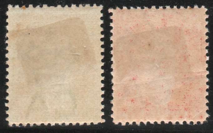 British Virgin Islands 1899 Definitive ½d & 1d fine mounted mint. SG 43-44. Cat £10 (2022)