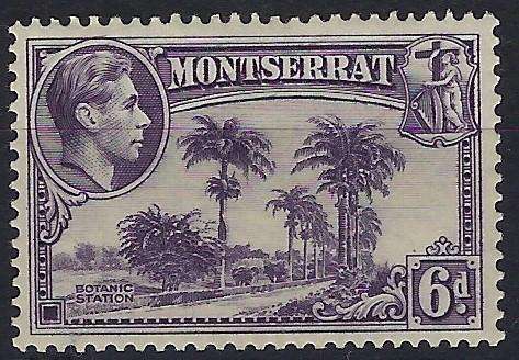MONTSERRAT 1938, mm, 6d, King George V, SG 107
