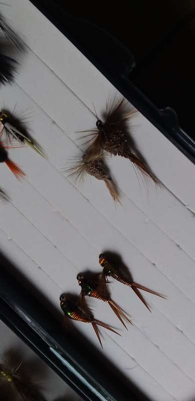 Snowbee Fly Box and Flies
