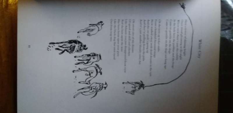 Poguetry: The Lyrics of Shane Macgowan Paperback  January 1, 1989  Rare.