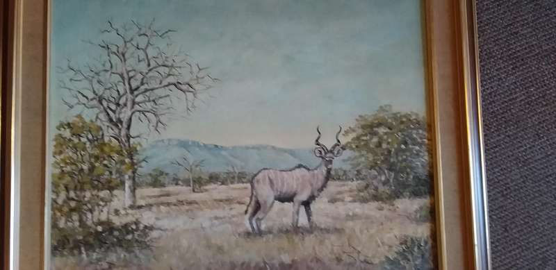 Oil on board, Kudu in the bushveld
