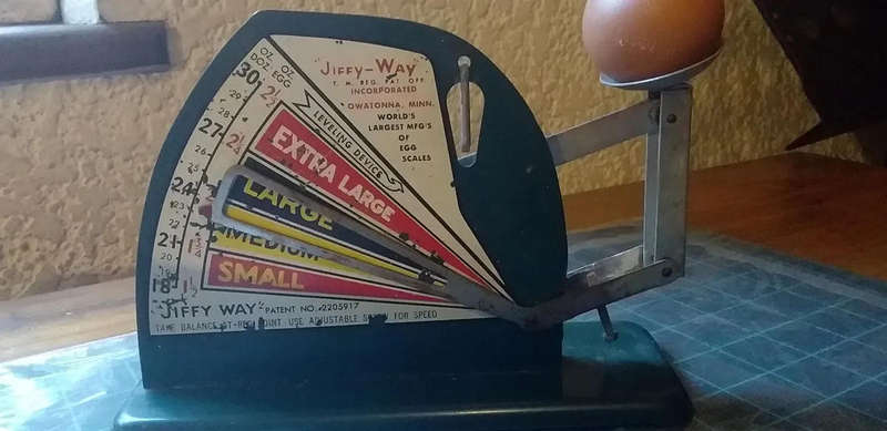 1950s Vintage Jiffy Way Egg Grading Scale DARK Green Working