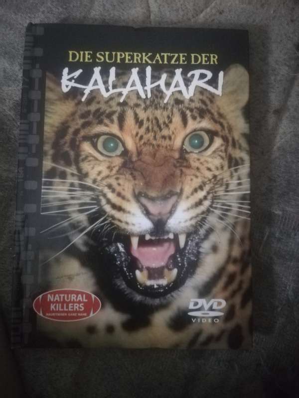 Die Superkatze Der Kalahari DVD and Book