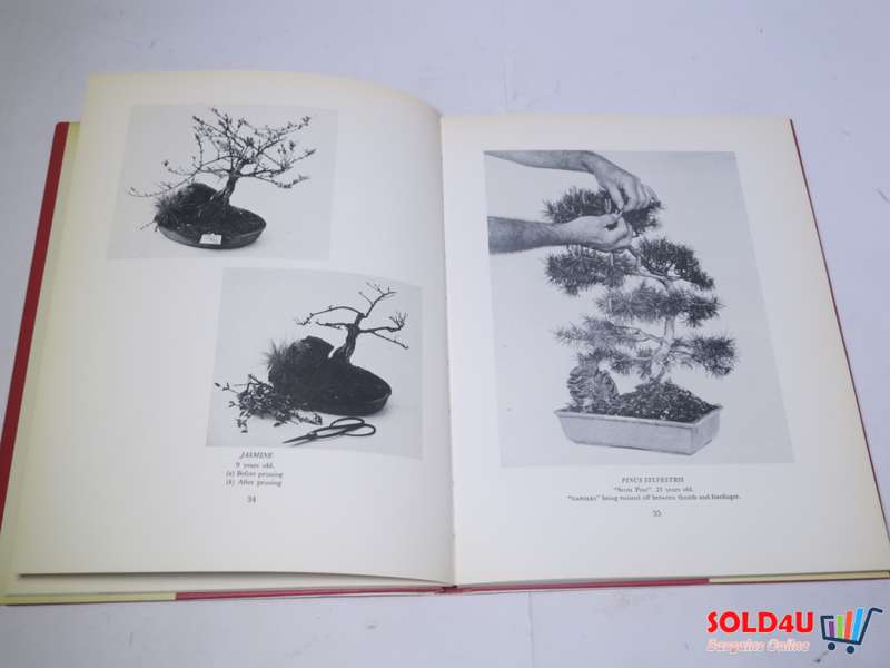 The South African bonsai book by  Doug Hall & Don Black