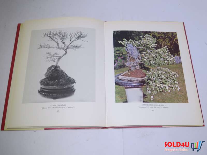 The South African bonsai book by  Doug Hall & Don Black