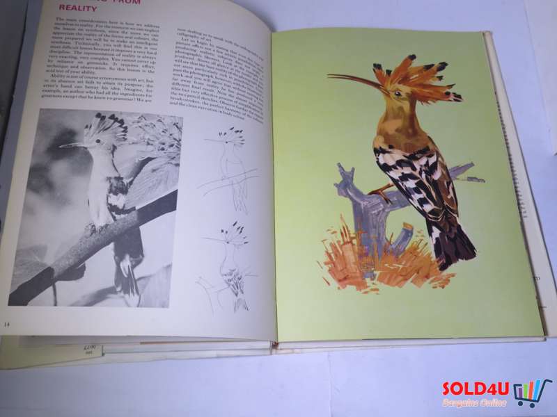 Alive to Art : Exploring Colours & Crafts by Jose' Llobera