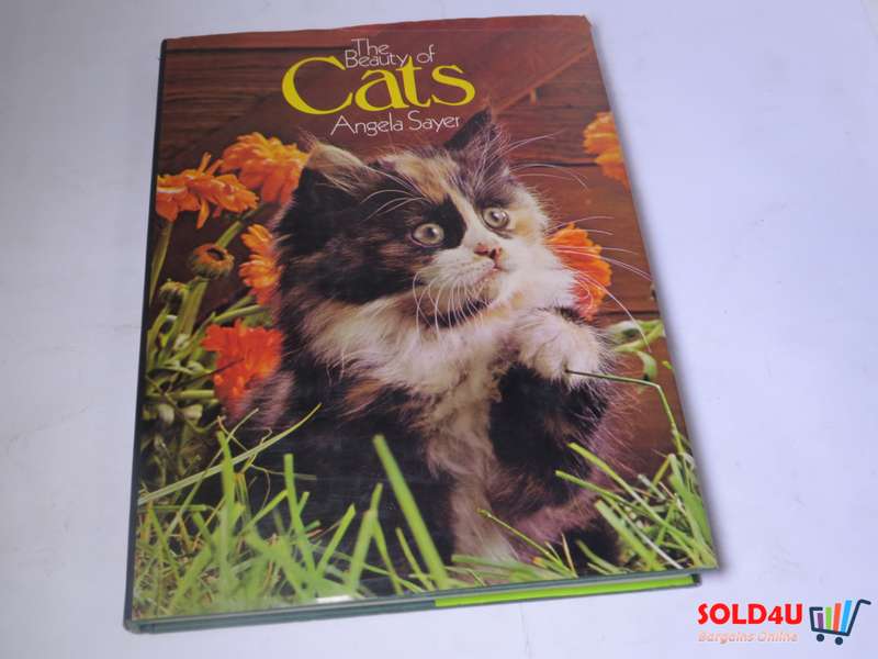 The Beauty of Cats by Angela Sayer