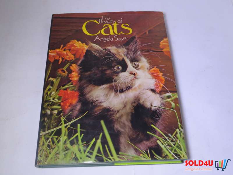 The Beauty of Cats by Angela Sayer