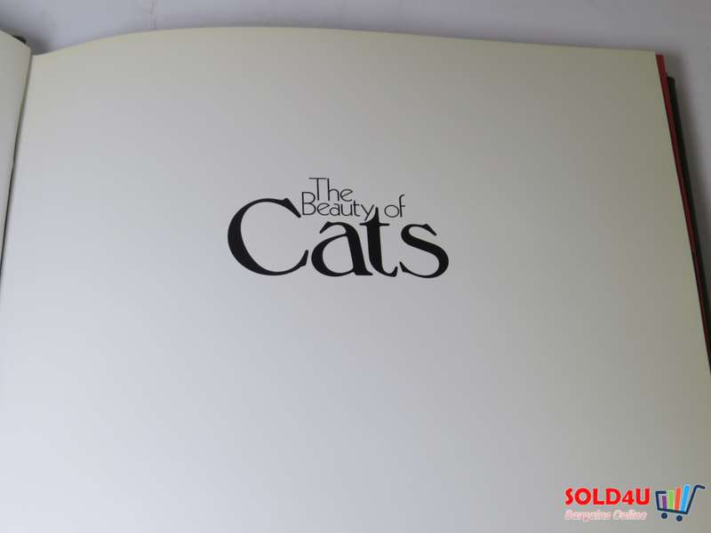 The Beauty of Cats by Angela Sayer