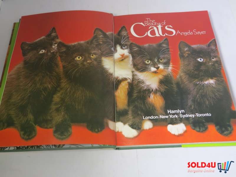 The Beauty of Cats by Angela Sayer