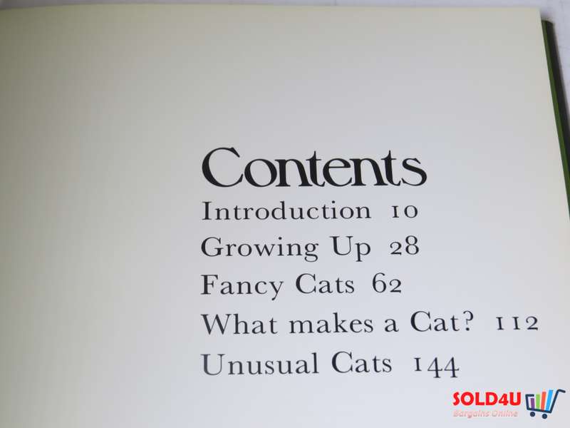The Beauty of Cats by Angela Sayer