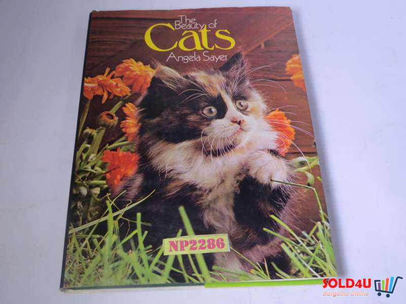 The Beauty of Cats by Angela Sayer