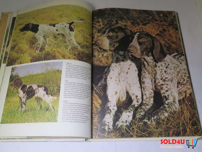 The Wonderful world of Dogs by Kay White