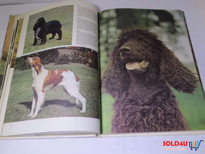 The Wonderful world of Dogs by Kay White