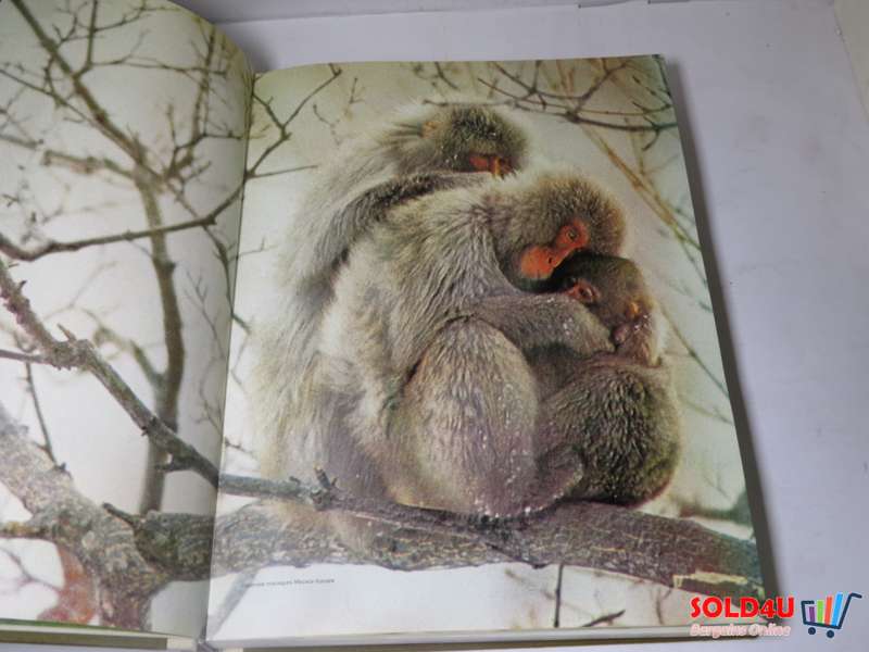 The Living world of Animals