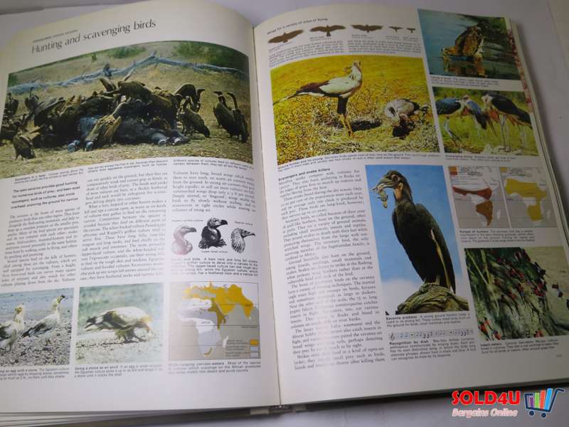 The Living world of Animals