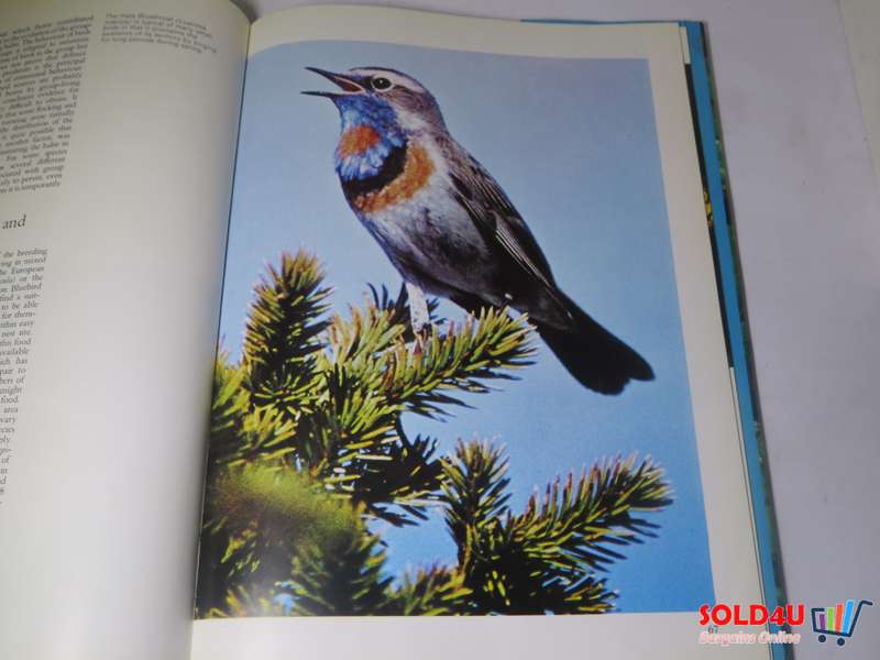 The Wonderful world of Birds and their Behaviour - Donald Broom