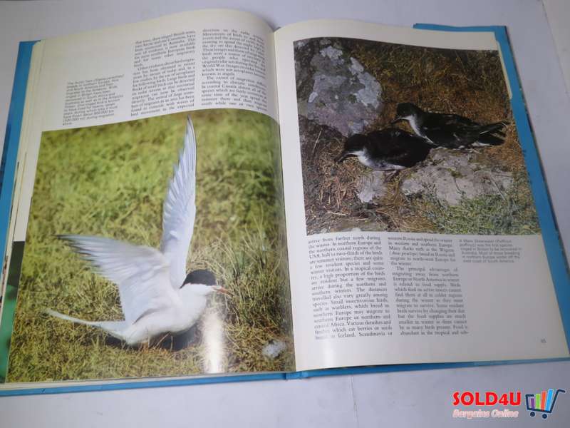 The Wonderful world of Birds and their Behaviour - Donald Broom