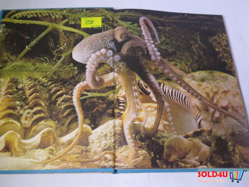 The Wonderful World of Life in the Sea - Andrew C. Campbell