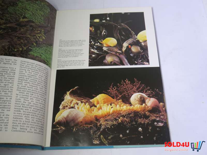 The Wonderful World of Life in the Sea - Andrew C. Campbell