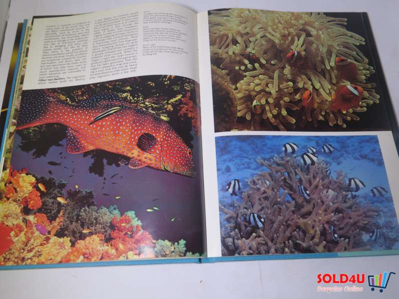 The Wonderful World of Life in the Sea - Andrew C. Campbell